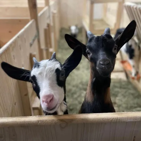 Kitzlochklammblick Hof Apartamento *