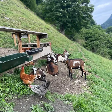 Kitzlochklammblick Hof