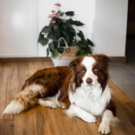 Kitzlochklammblick Hof * Taxenbach