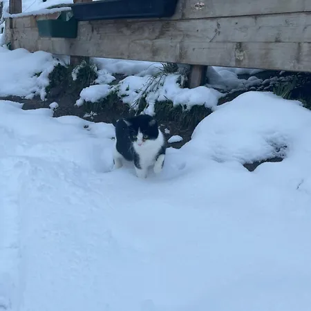 Kitzlochklammblick Hof Apartamento *