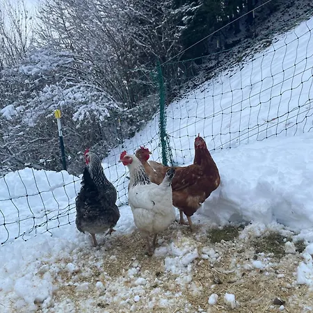 Kitzlochklammblick Hof Taxenbach